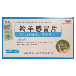 Ling Yang Gan Mao Pian – Natural Support for Cold and Flu Relief