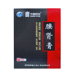 Yao Shen Gao – lower back and joint patch