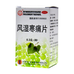FENG SHI HAN TONG PIAN – Joint support & anti‑inflammatory aid